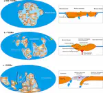 Discovery of a >1,000 km Cambrian Eclogite-Bearing High-Pressure Metamorphic Belt in the Central Asian Orogenic Belt: Implications for the Final Closure of the Pan-Rodinian Ocean