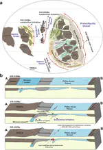 Ophiolites in the Central Asian Orogenic Belt record Cambrian subduction initiation processes